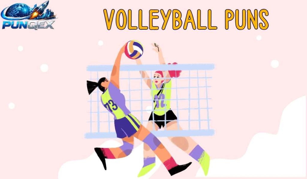 Volleyball Puns